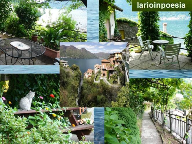 Mosaico fotografico costruito da Luciana Cavalleri