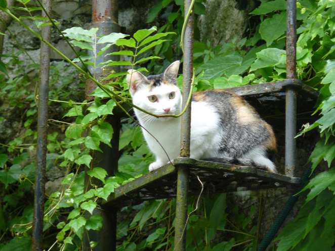 P1110011(FILEminimizer)