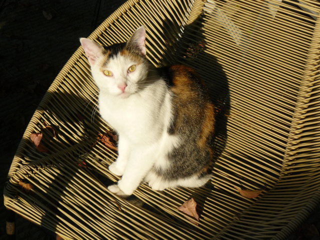 P1120390 (FILEminimizer)