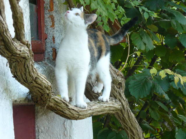 P1120485 (FILEminimizer)(FILEminimizer)