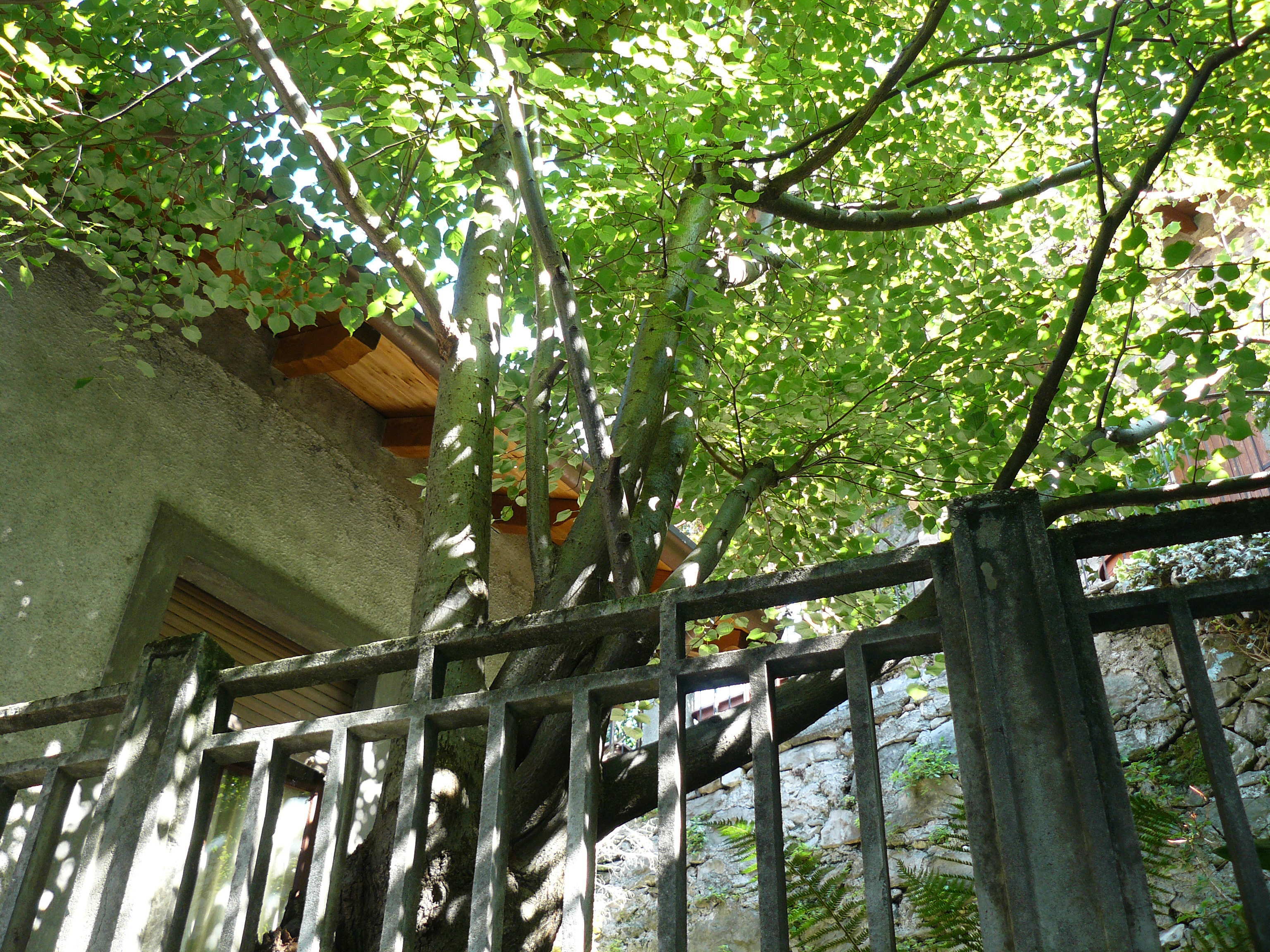 P1010184(FILEminimizer)