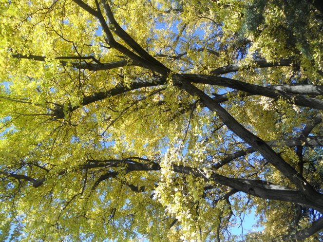 scaric.nikon 18.12.2013 004 (FILEminimizer)