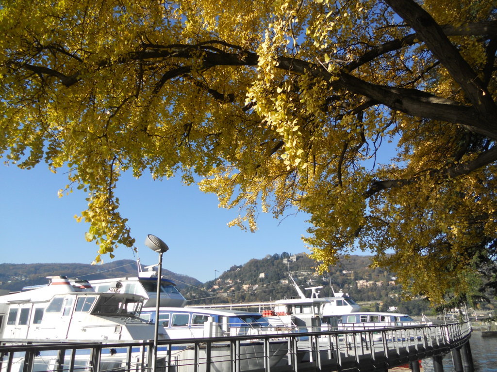 scaric.nikon 18.12.2013 005 (FILEminimizer)