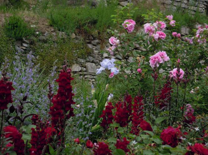 10357272_623131201109941_2024410485_o