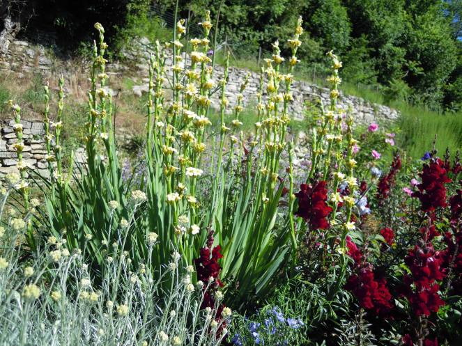 10359288_623131671109894_1106737338_o