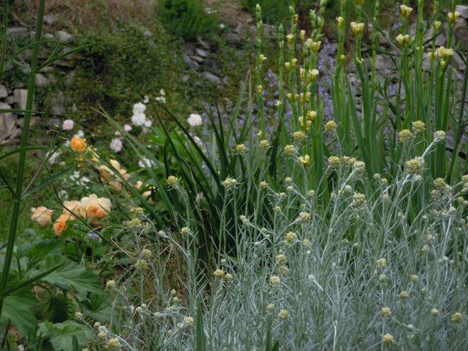 10376392_623131214443273_1569027838_o