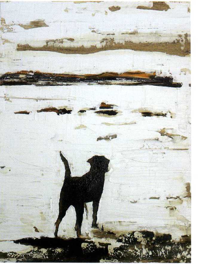 fettolini1099 - Copia