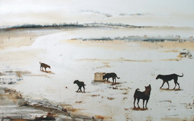 SOSPENSIONE RANDAGIA