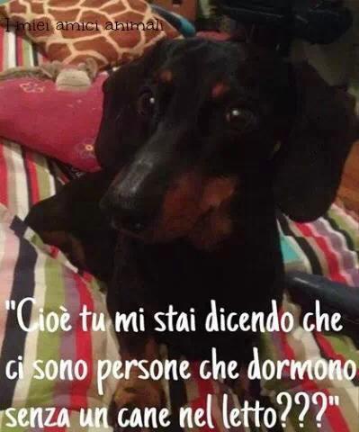 10599337_10152711142874614_1607227113993329326_n