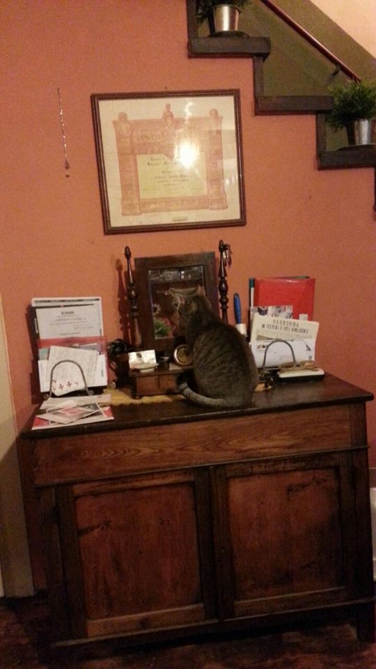 10807909_10203494116968647_795206304_n