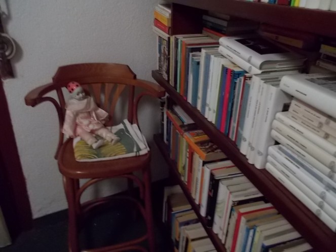 DSCN1726 (FILEminimizer)