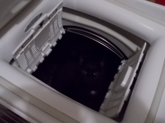 DSCN1842 (FILEminimizer)