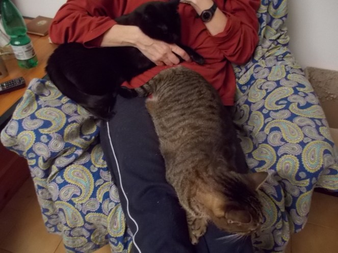 DSCN1885 (FILEminimizer)