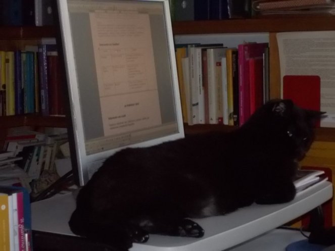 DSCN2019 (FILEminimizer)