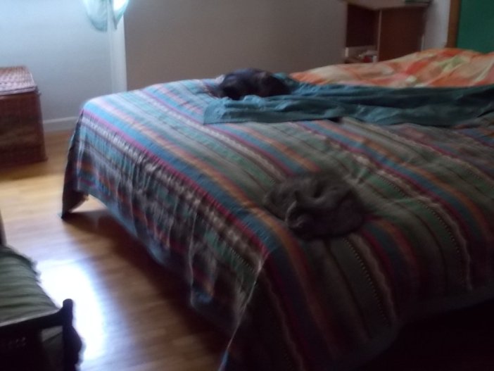 DSCN2206 (FILEminimizer)