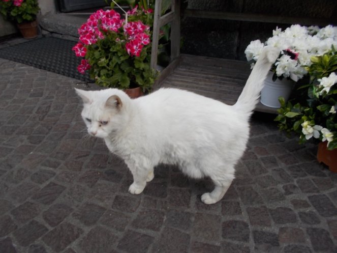 DSCN2461 (FILEminimizer)