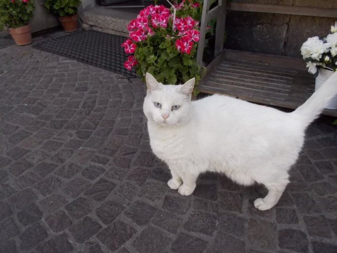 DSCN2463 (FILEminimizer)