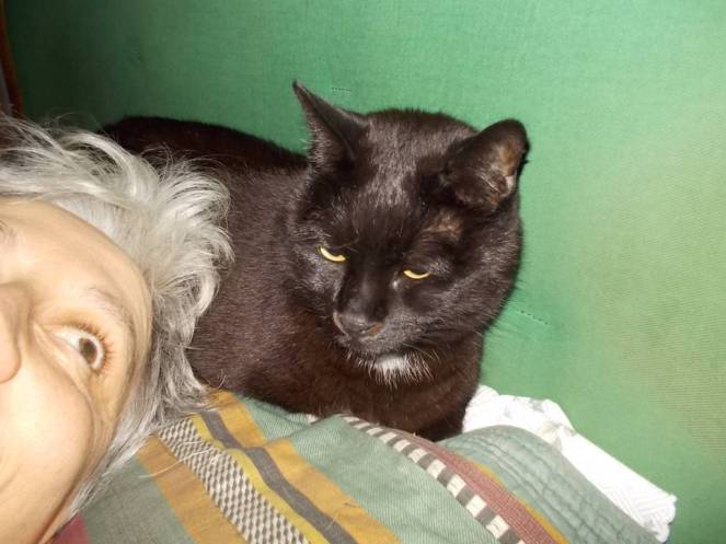 DSCN2697 (FILEminimizer)