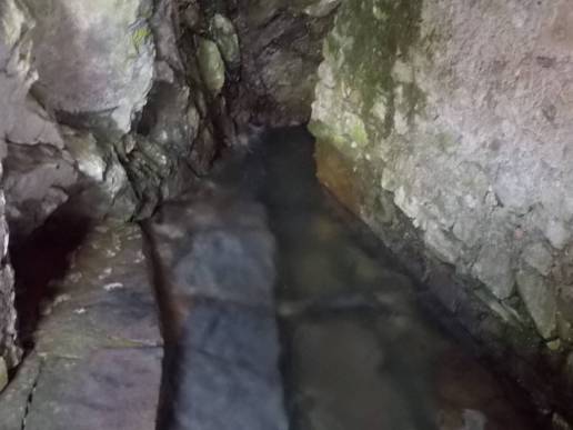 DSCN2967 (FILEminimizer)