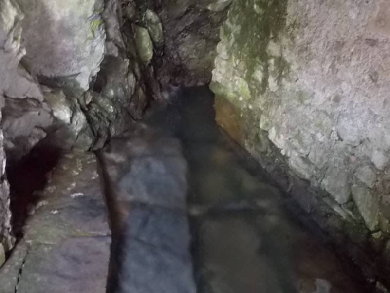 DSCN2967 (FILEminimizer)