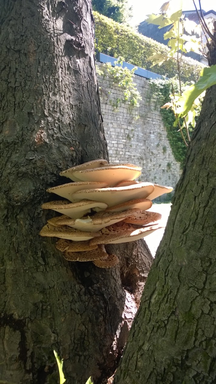 WP_20150502_001 (FILEminimizer)