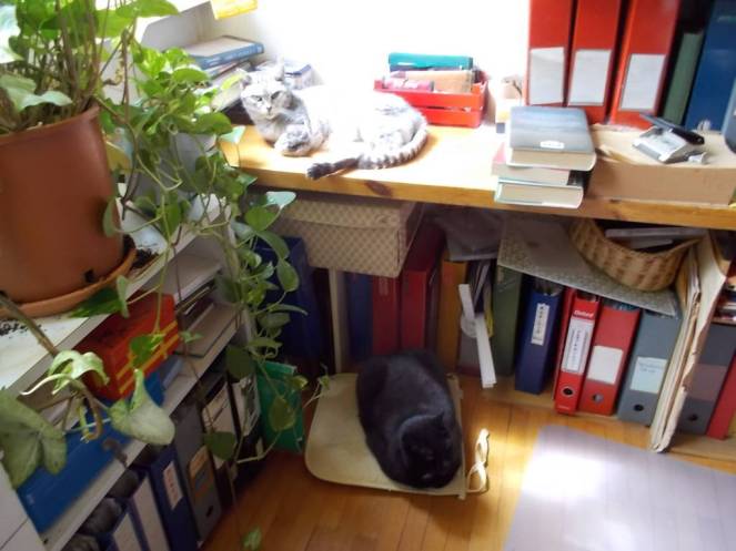 DSCN3022 (FILEminimizer)