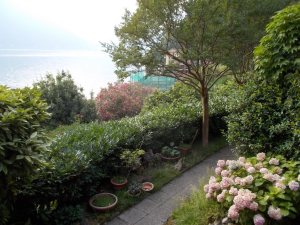 DSCN3453 (FILEminimizer)