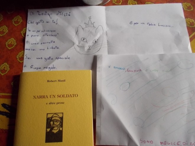 DSCN3581 (FILEminimizer)