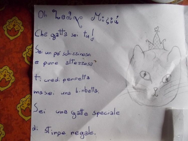 DSCN3582 (FILEminimizer)