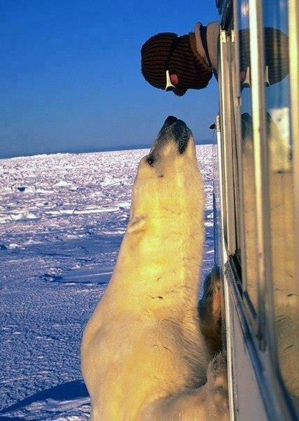 12109294_1114797595211954_4335150478511162024_n