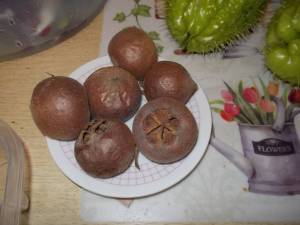 DSCN4050 (FILEminimizer)