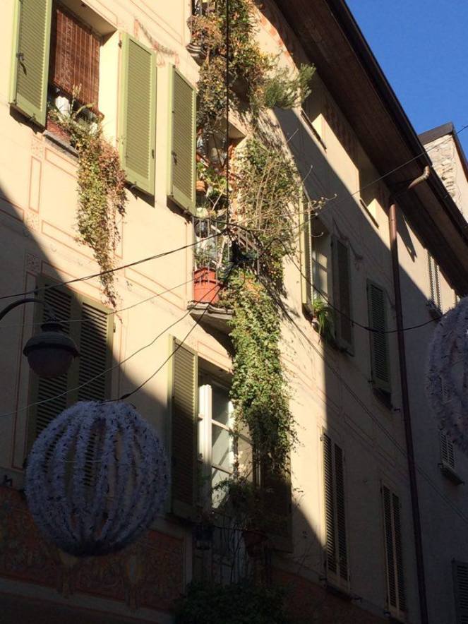 12442830_931673020248571_69583070_n