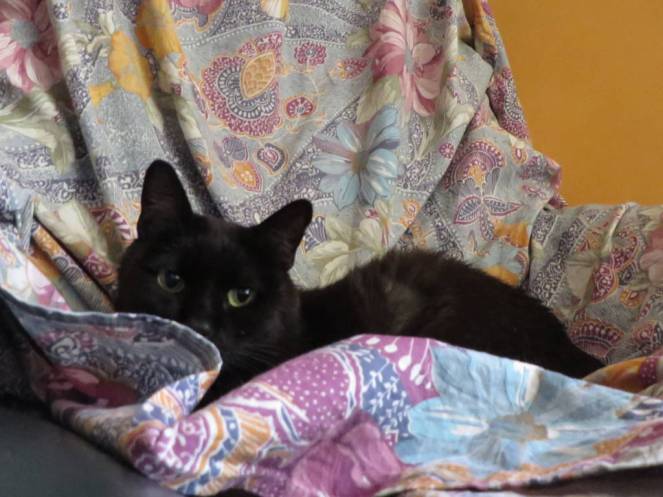 IMG_0008 (FILEminimizer)