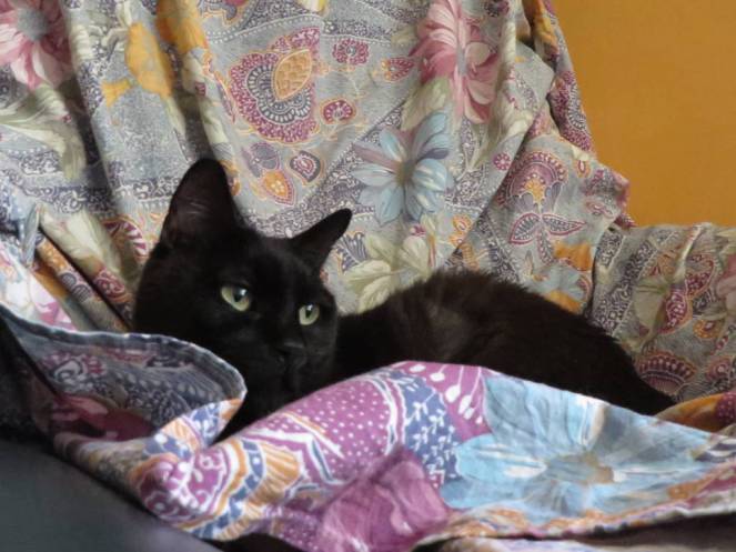 IMG_0009 (FILEminimizer)