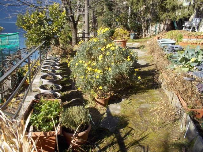 DSCN4590 (FILEminimizer)