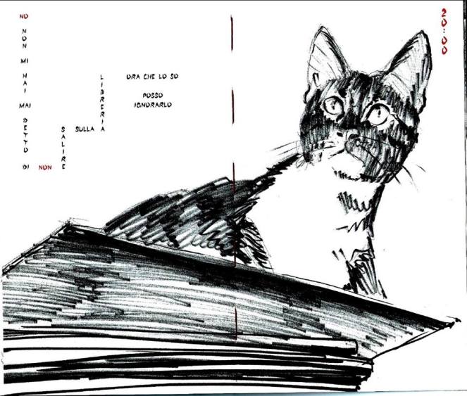 12814601_10154137700476055_3506534958276577602_n