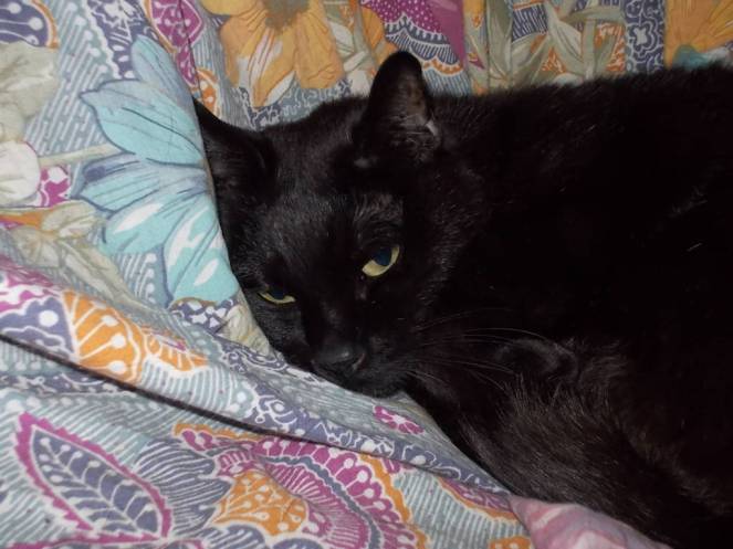 DSCN4516 (FILEminimizer)