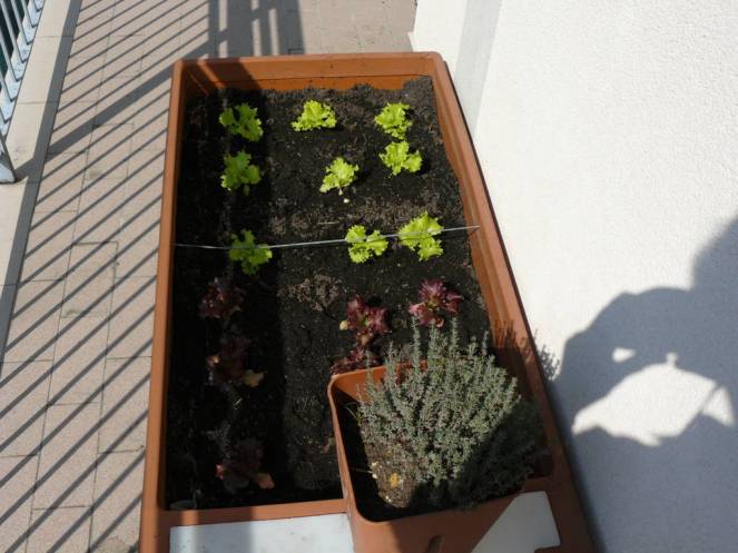 P1130650 (FILEminimizer)