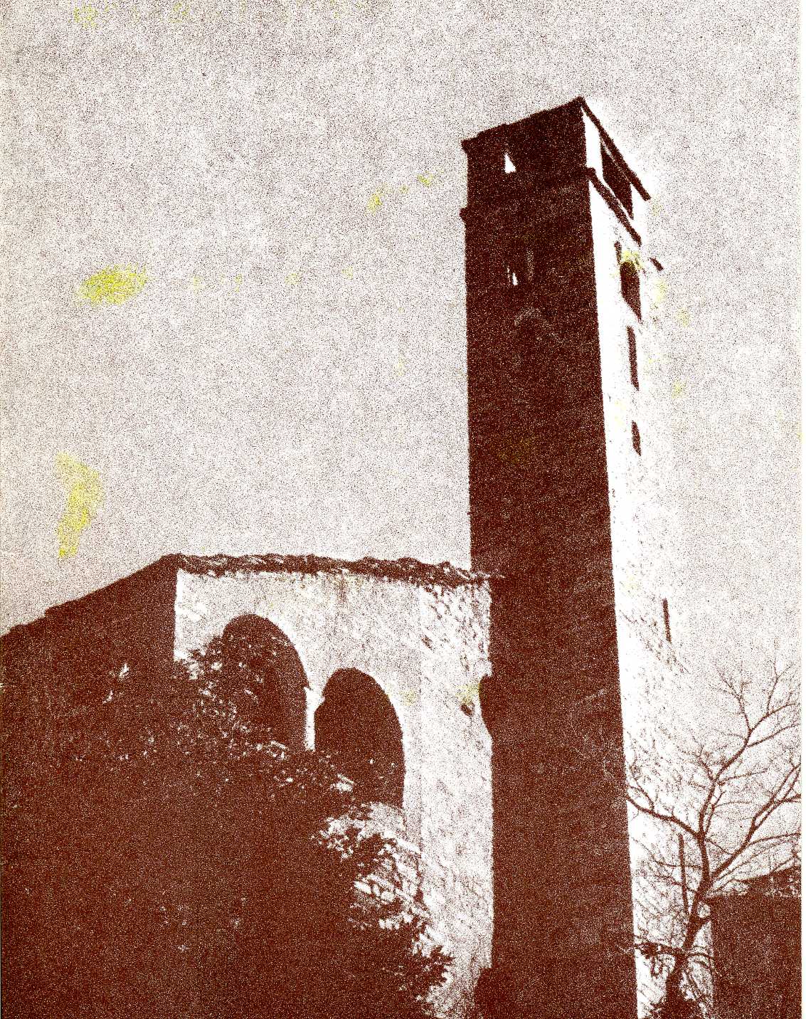 careno3230