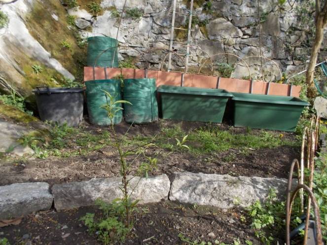 DSCN4791 (FILEminimizer)