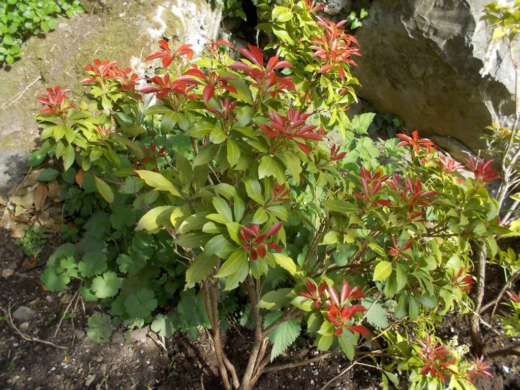 DSCN4815 (FILEminimizer)