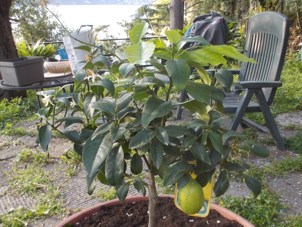 DSCN4849 (FILEminimizer)