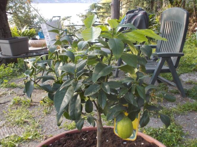 DSCN4849 (FILEminimizer)