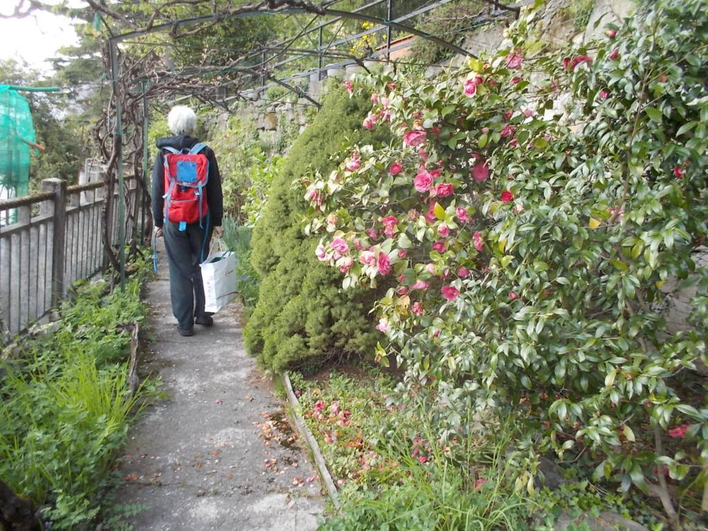 DSCN4879 (FILEminimizer)