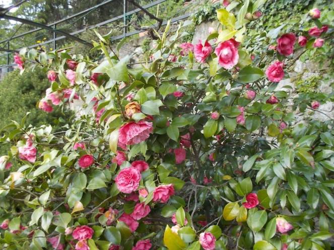 DSCN4880 (FILEminimizer)