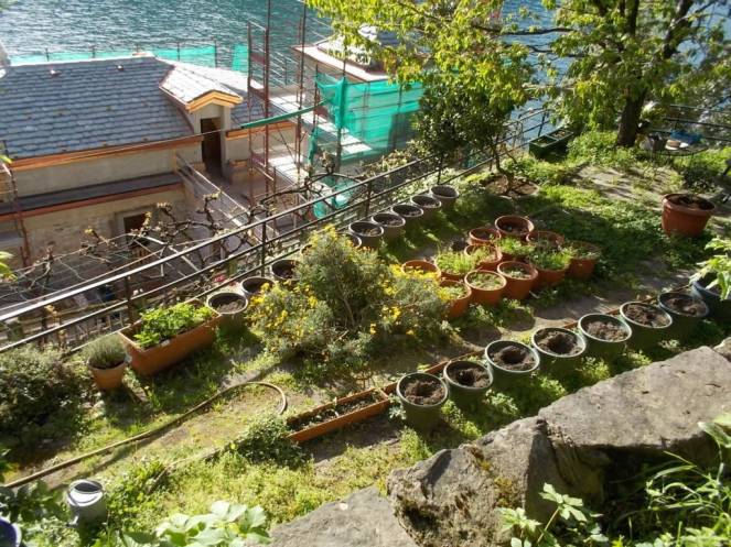 DSCN4974 (FILEminimizer)