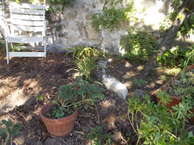 DSCN5019 (FILEminimizer)