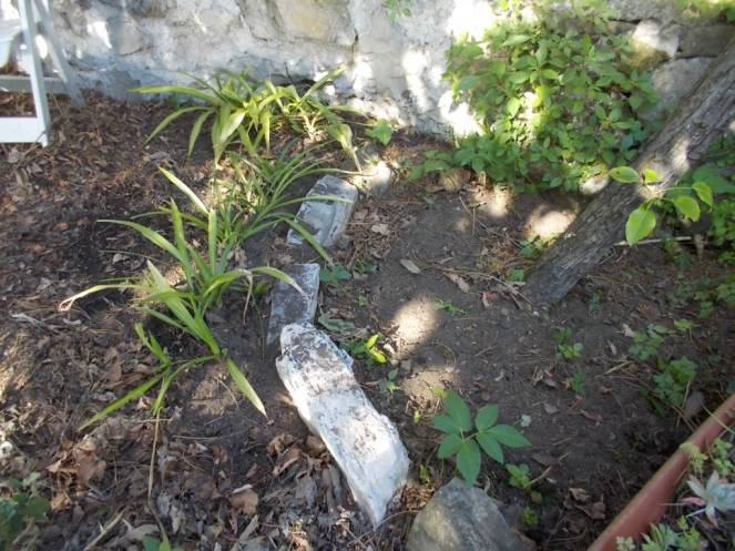 DSCN5020 (FILEminimizer)