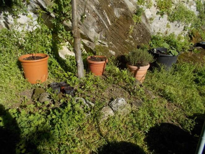 DSCN5021 (FILEminimizer)