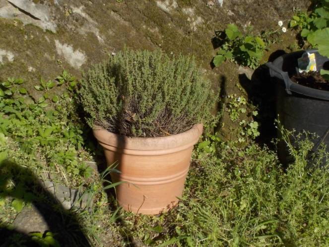 DSCN5022 (FILEminimizer)